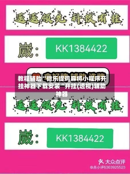 教程辅助“微乐捉鸡麻将小程序开挂神器下载安装“开挂(透视)辅助神器-第2张图片