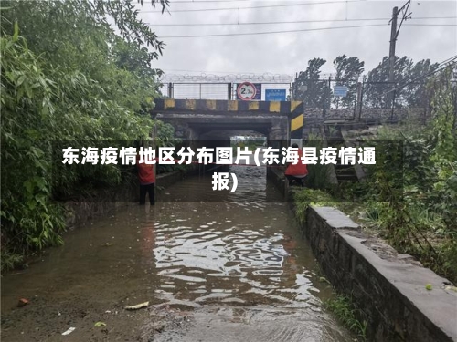 东海疫情地区分布图片(东海县疫情通报)