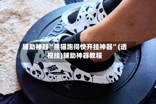 辅助神器“熊猫跑得快开挂神器	”(透视挂)辅助神器教程-第2张图片