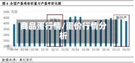商品蛋行情/蛋价行情分析
