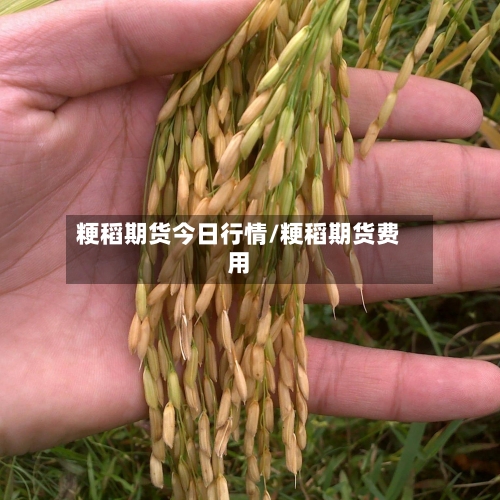 粳稻期货今日行情/粳稻期货费用-第2张图片