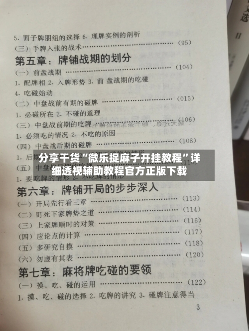 分享干货“微乐捉麻子开挂教程”详细透视辅助教程官方正版下载