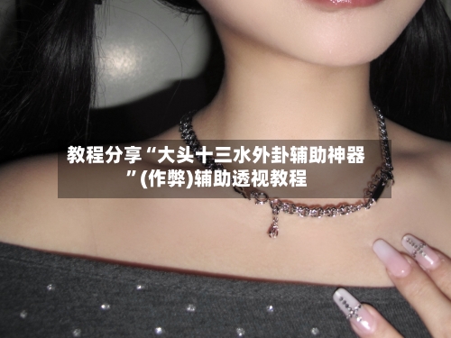 教程分享“大头十三水外卦辅助神器”(作弊)辅助透视教程-第2张图片