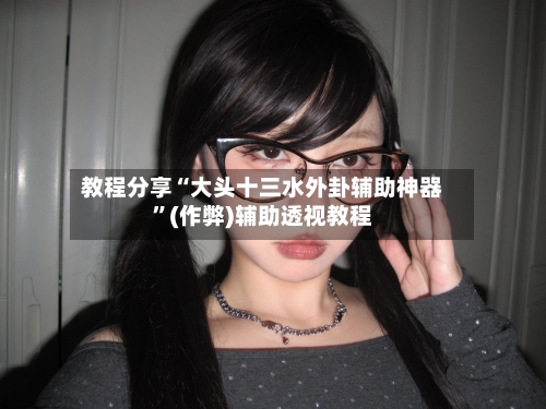 教程分享“大头十三水外卦辅助神器	”(作弊)辅助透视教程-第3张图片