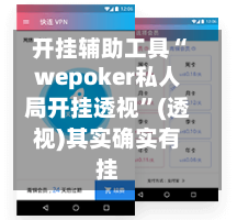 开挂辅助工具“wepoker私人局开挂透视	”(透视)其实确实有挂-第2张图片