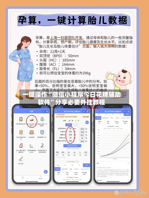 一键操作“微信小程序今日花牌辅助软件	”分享必要外挂教程-第2张图片
