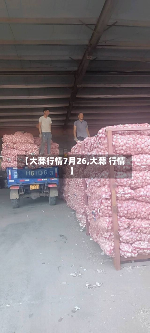 【大蒜行情7月26,大蒜 行情】-第2张图片