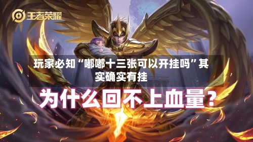 玩家必知“嘟嘟十三张可以开挂吗”其实确实有挂
