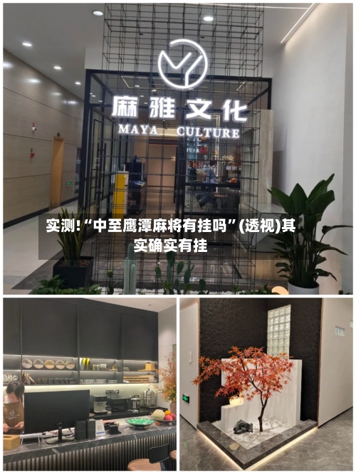 实测!“中至鹰潭麻将有挂吗	”(透视)其实确实有挂-第2张图片