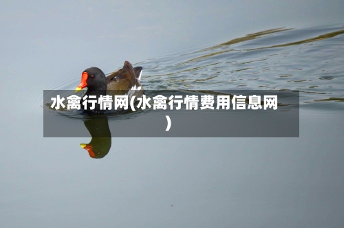 水禽行情网(水禽行情费用信息网)-第3张图片