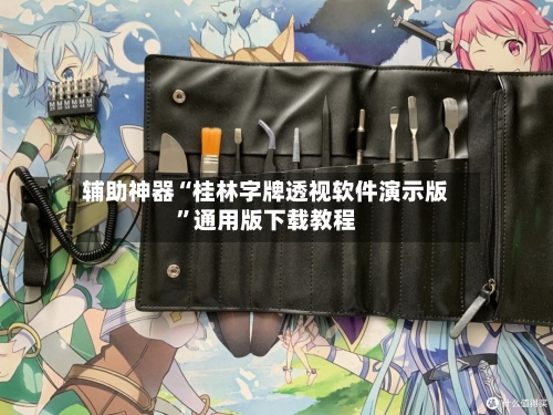辅助神器“桂林字牌透视软件演示版”通用版下载教程