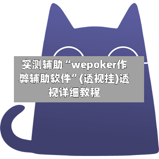 实测辅助“wepoker作弊辅助软件”(透视挂)透视详细教程-第2张图片