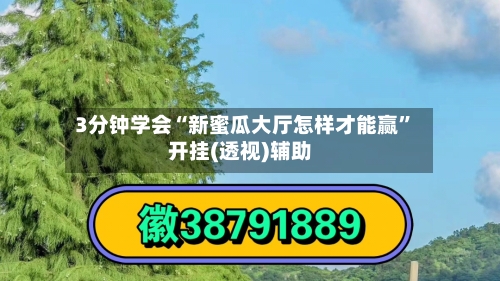 3分钟学会“新蜜瓜大厅怎样才能赢”开挂(透视)辅助-第2张图片