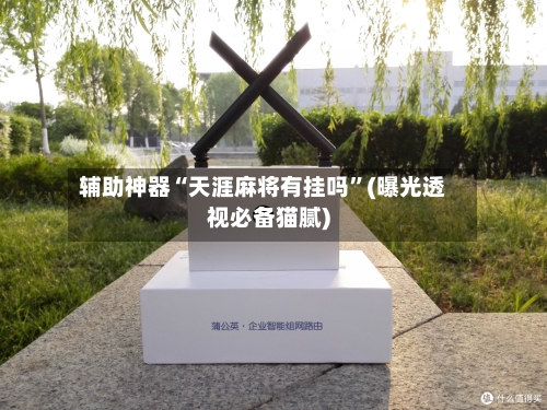 辅助神器“天涯麻将有挂吗”(曝光透视必备猫腻)-第3张图片