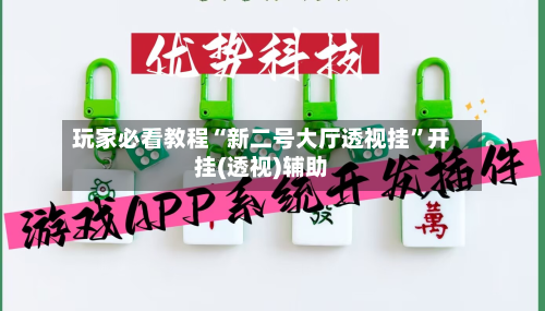 玩家必看教程“新二号大厅透视挂”开挂(透视)辅助-第2张图片