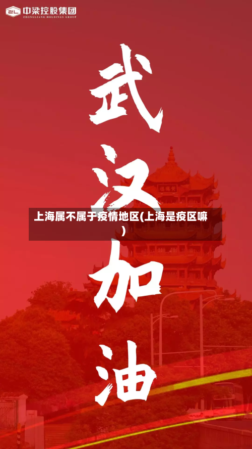 上海属不属于疫情地区(上海是疫区嘛)-第2张图片