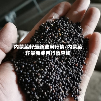 内蒙菜籽最新费用行情/内蒙菜籽最新费用行情查询