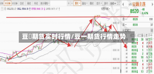豆粨期货实时行情/豆一期货行情走势