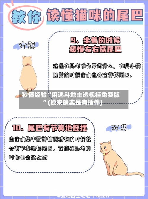 秒懂经验“闲逸斗地主透视挂免费版”(原来确实是有插件)-第3张图片