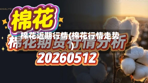 棉花近期行情(棉花行情走势)-第3张图片