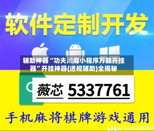 辅助神器“功夫川麻小程序万能开挂器”开挂神器{透视辅助}全揭秘