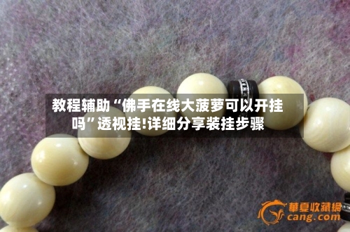 教程辅助“佛手在线大菠萝可以开挂吗”透视挂!详细分享装挂步骤-第2张图片