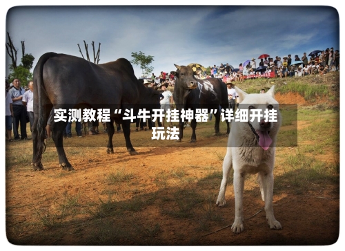 实测教程“斗牛开挂神器”详细开挂玩法