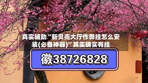真实辅助“新贝壳大厅作弊挂怎么安装(必备神器)”其实确实有挂