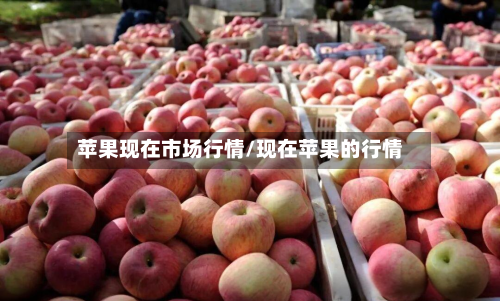 苹果现在市场行情/现在苹果的行情