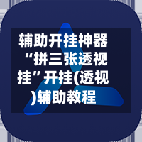 辅助开挂神器“拼三张透视挂”开挂(透视)辅助教程-第3张图片