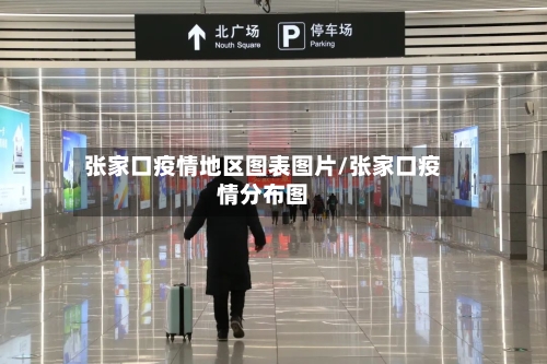 张家口疫情地区图表图片/张家口疫情分布图