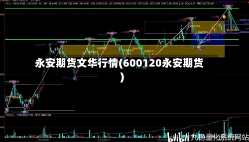 永安期货文华行情(600120永安期货)