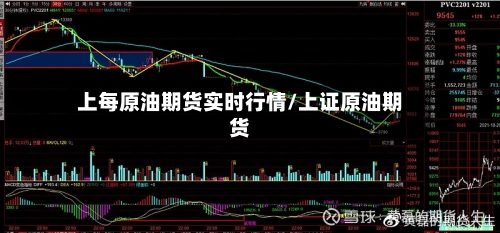 上每原油期货实时行情/上证原油期货-第2张图片