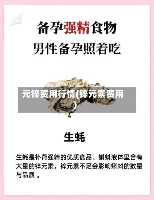 元锌费用行情(锌元素费用)-第2张图片