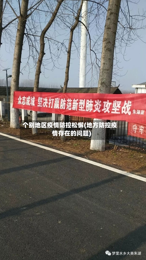 个别地区疫情防控松懈(地方防控疫情存在的问题)-第3张图片