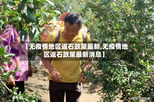 【无疫情地区返石政策最新,无疫情地区返石政策最新消息】
