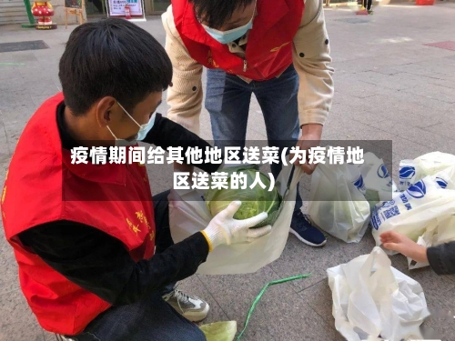疫情期间给其他地区送菜(为疫情地区送菜的人)