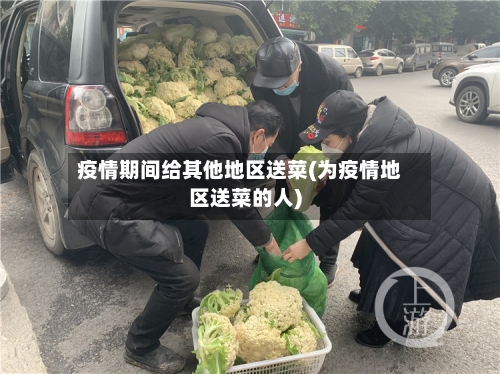 疫情期间给其他地区送菜(为疫情地区送菜的人)-第3张图片