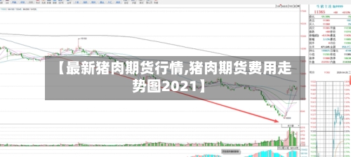 【最新猪肉期货行情,猪肉期货费用走势图2021】