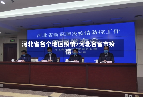 河北省各个地区疫情/河北各省市疫情-第2张图片