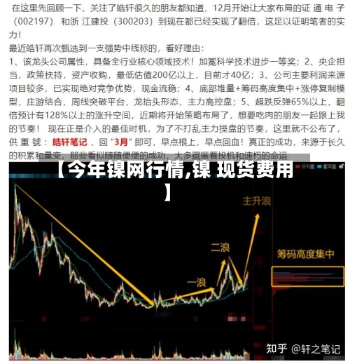 【今年镍网行情,镍 现货费用】-第2张图片