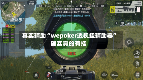 真实辅助“wepoker透视挂辅助器”确实真的有挂-第2张图片