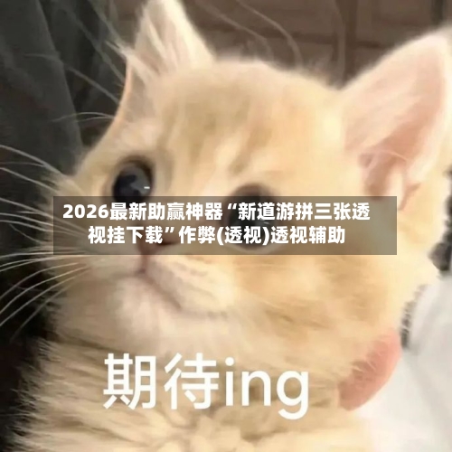 2026最新助赢神器“新道游拼三张透视挂下载”作弊(透视)透视辅助