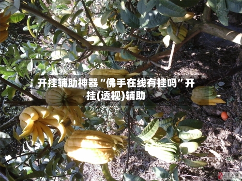 开挂辅助神器“佛手在线有挂吗”开挂(透视)辅助