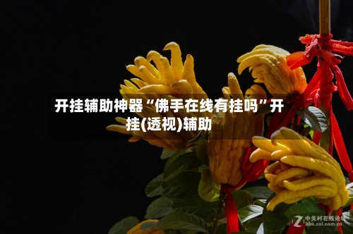开挂辅助神器“佛手在线有挂吗”开挂(透视)辅助-第3张图片