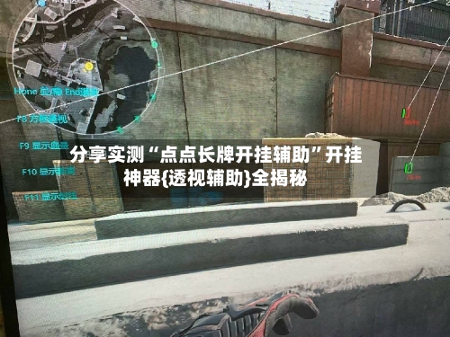 分享实测“点点长牌开挂辅助”开挂神器{透视辅助}全揭秘-第3张图片