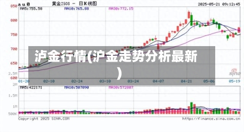泸金行情(沪金走势分析最新)