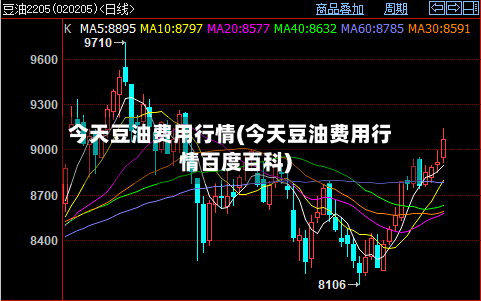 今天豆油费用行情(今天豆油费用行情百度百科)