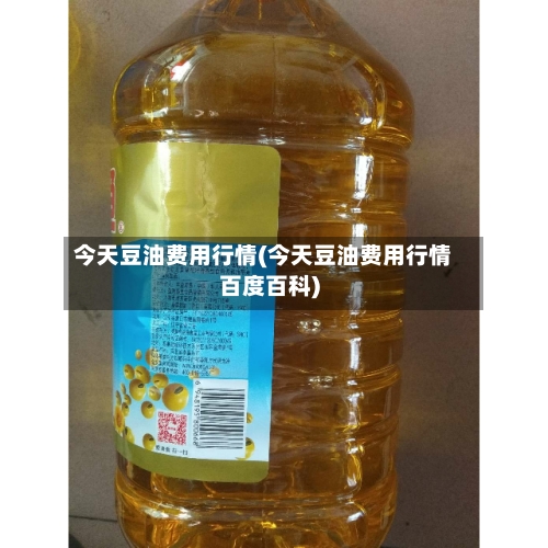 今天豆油费用行情(今天豆油费用行情百度百科)-第2张图片