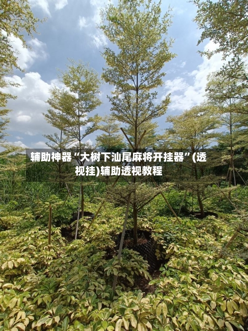辅助神器“大树下汕尾麻将开挂器	”(透视挂)辅助透视教程-第3张图片